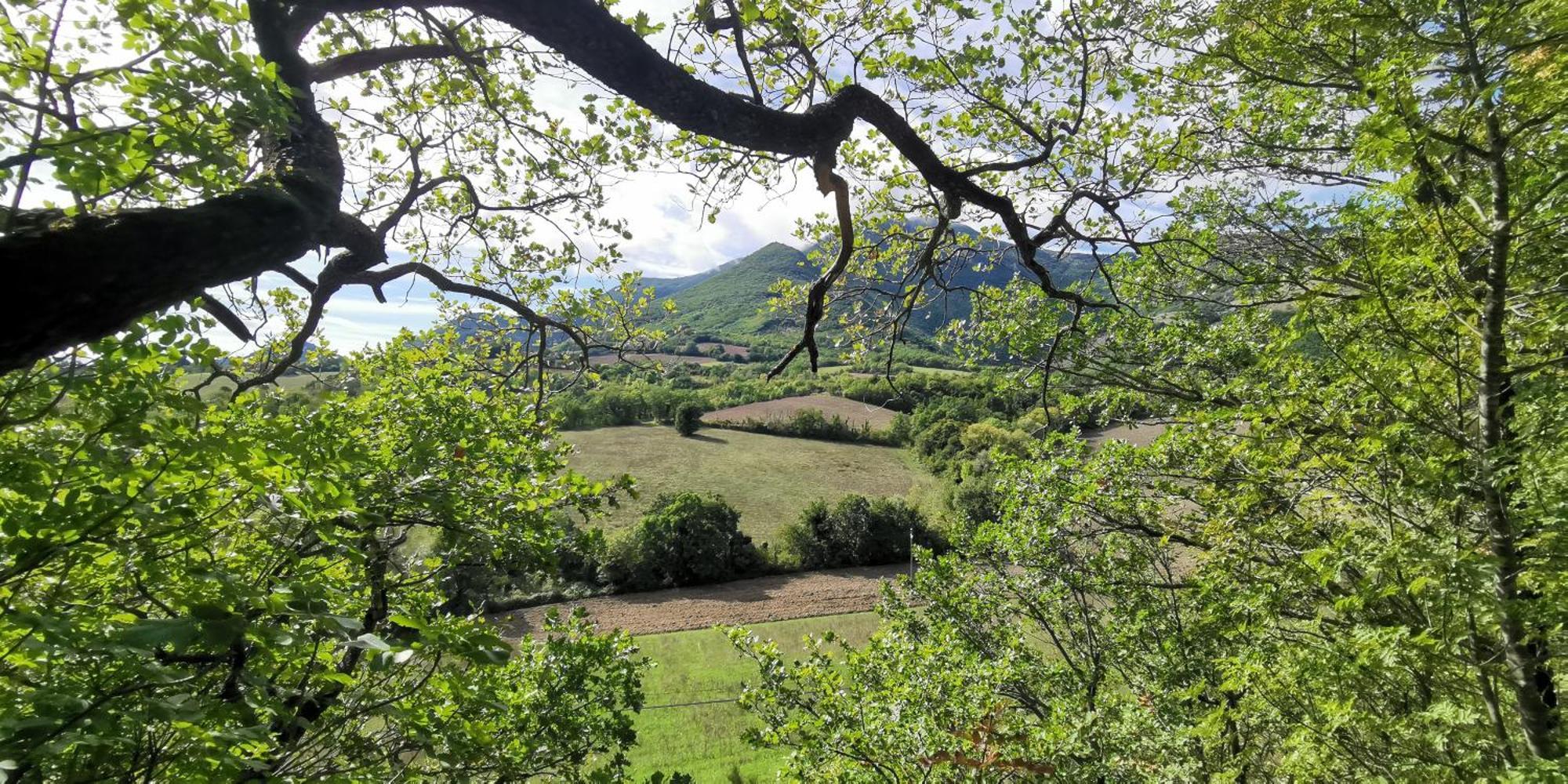 La Casetta Di Gino E Marcella Sassoferrato Екстериор снимка